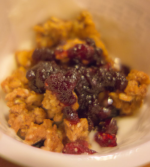 グラノラ&ヨーグルトの写真